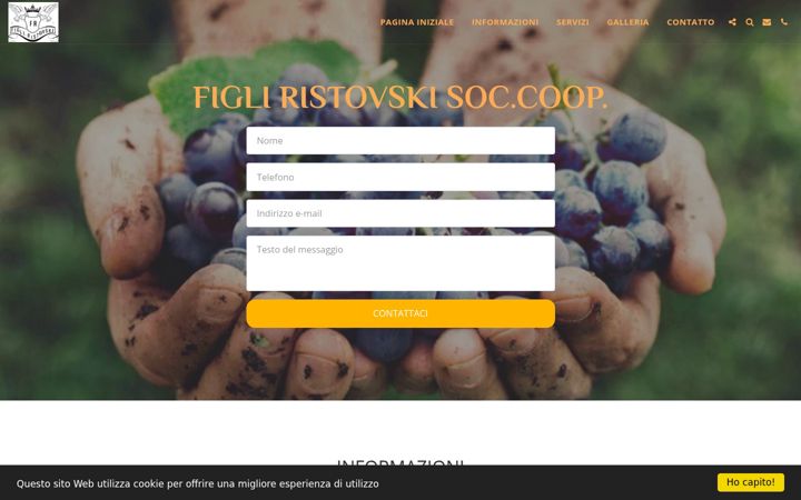 Screenshot of figliristovskisoccoop.com