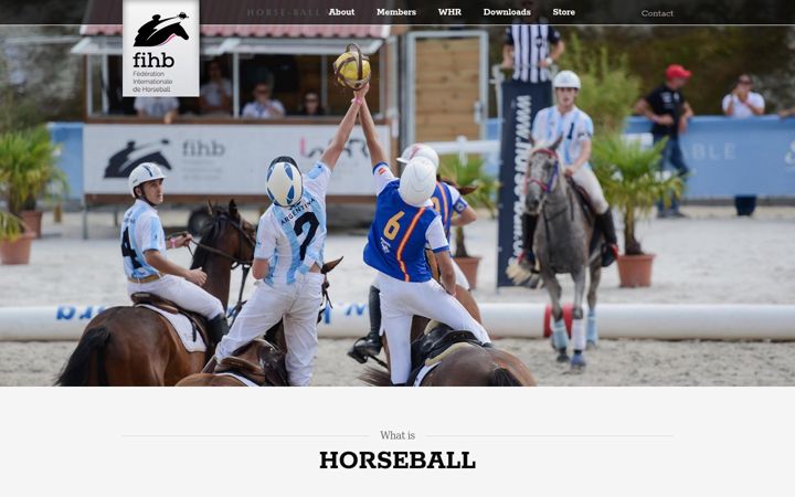 Screenshot of fihb.net