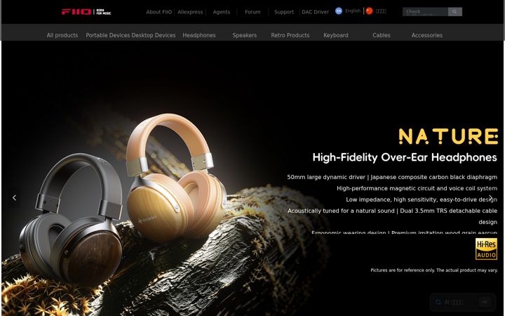 Screenshot of fiio.com
