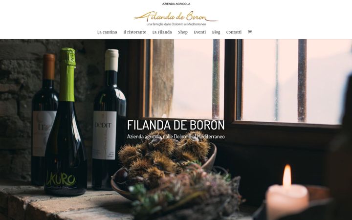 Screenshot of filandadeboron.it