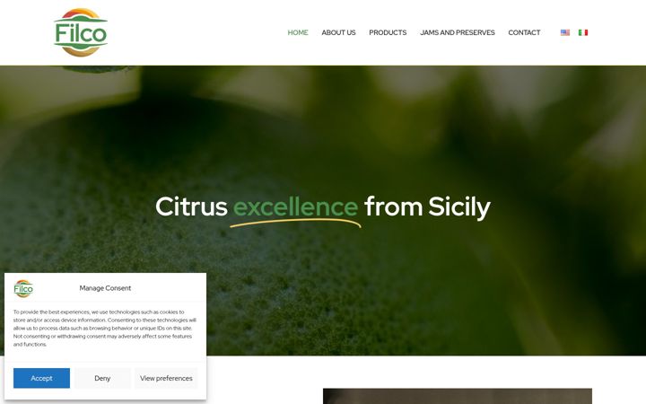 Screenshot of filcosrl.it