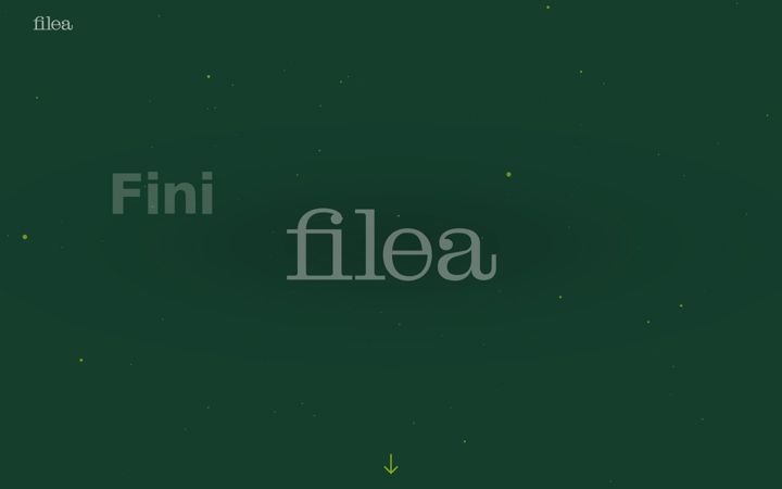 Screenshot of filea-immo.ch