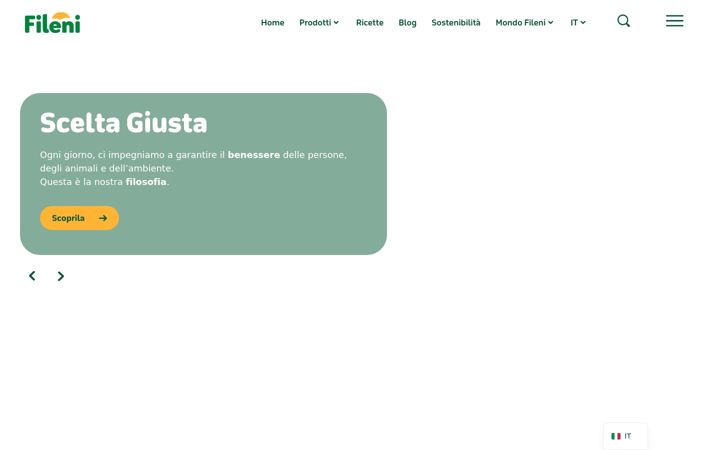 Screenshot ta' fileni.it