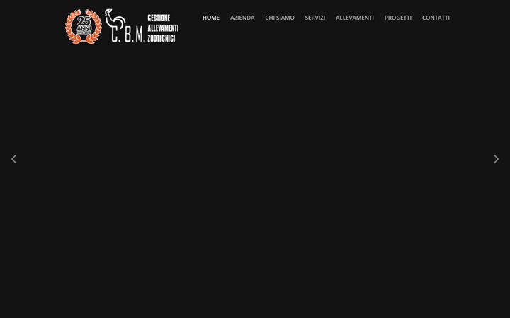 Screenshot ta' fileniallevamenti.it