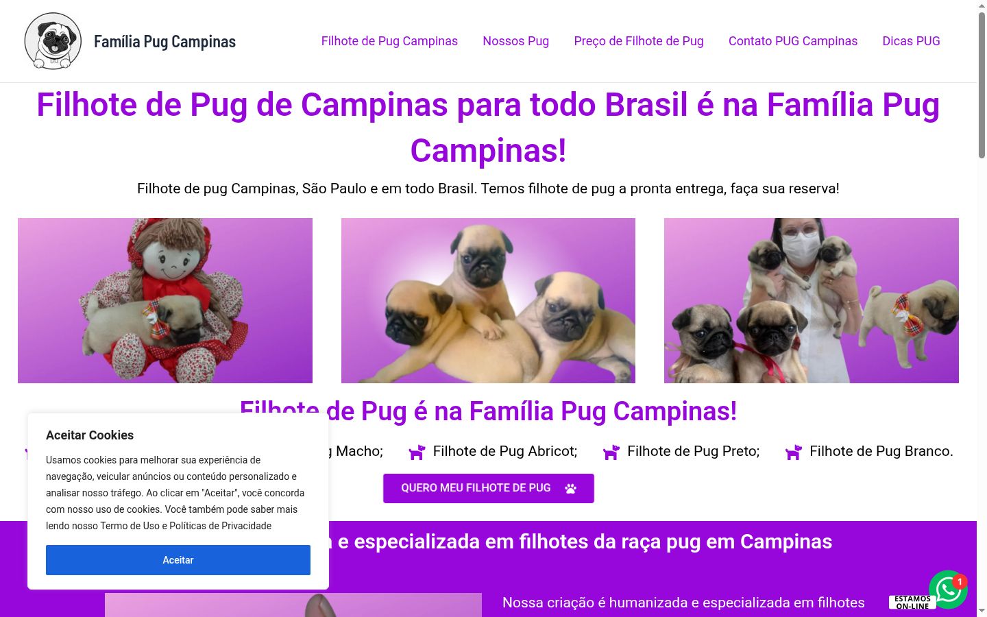 Screenshot van de toestemmingsbanner zoals getoond vóór enige interactie