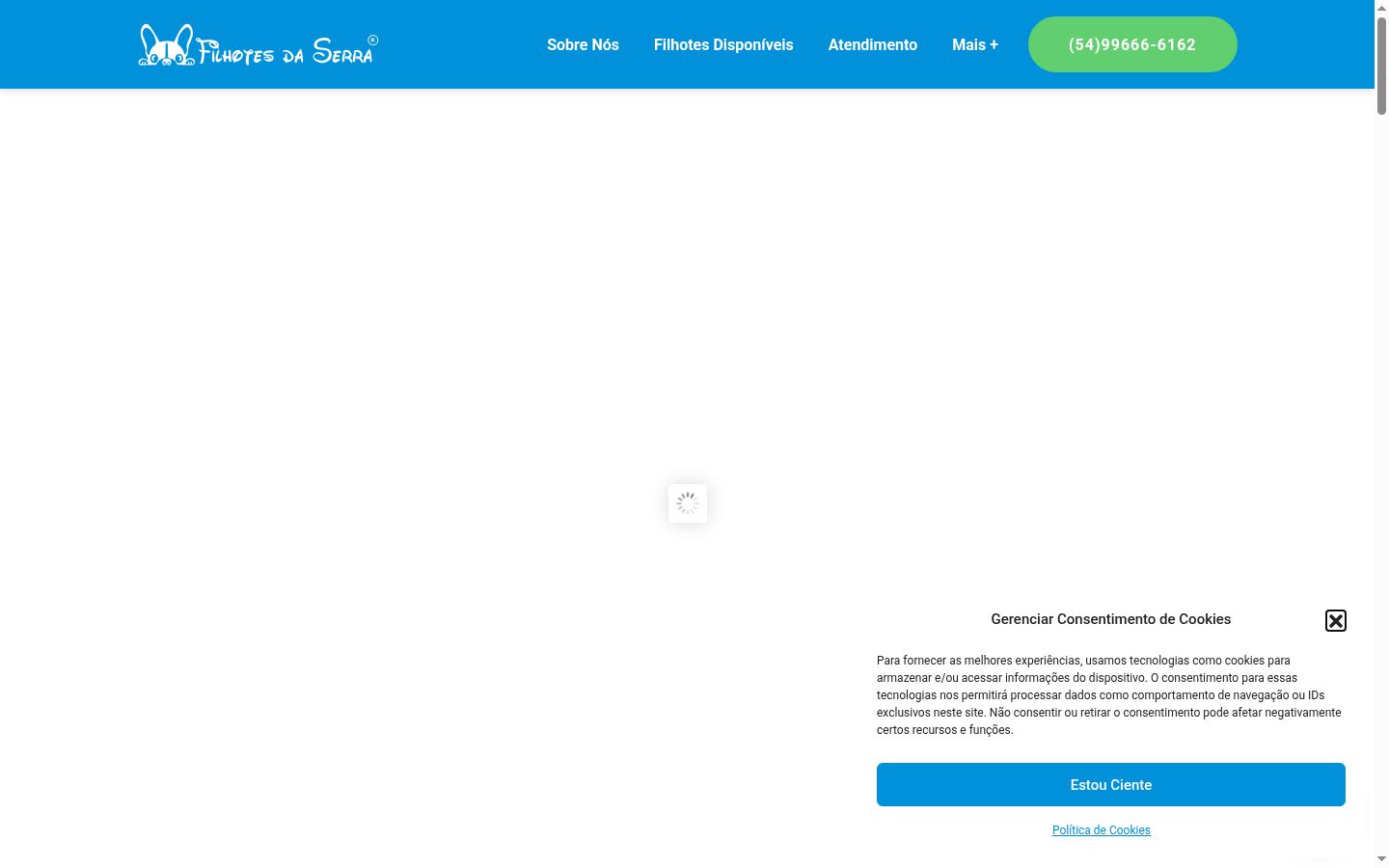 Screenshot van de toestemmingsbanner zoals getoond vóór enige interactie