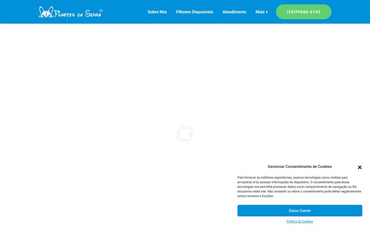 Screenshot of filhotesdaserra.com.br