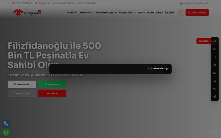 Screenshot of filizfidanoglu.com