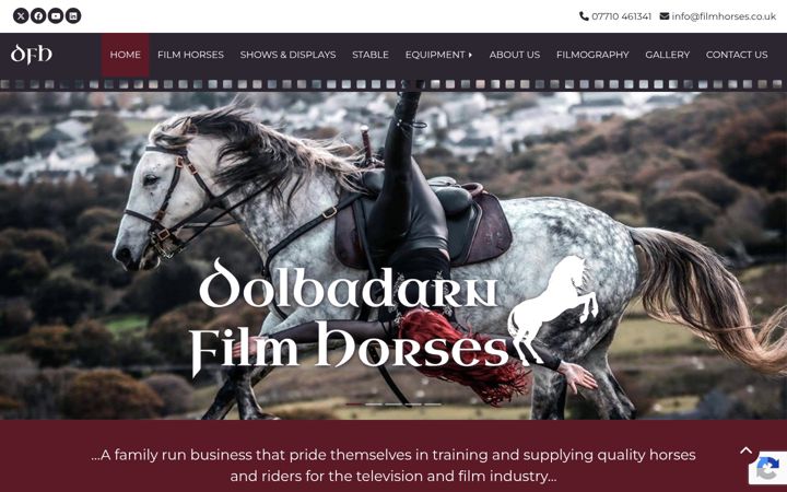 Screenshot of filmhorses.co.uk