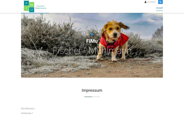 Screenshot of fimu.net