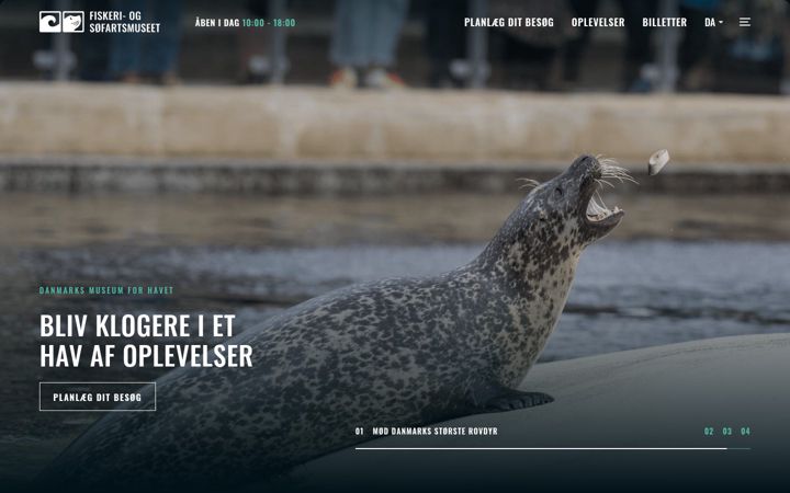 Screenshot of fimus.dk