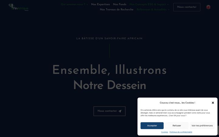 Screenshot of finafrique.com
