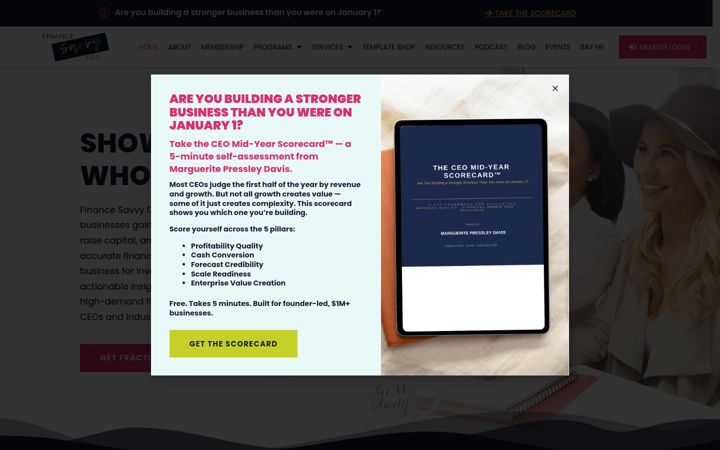 Screenshot of financesavvyceo.com