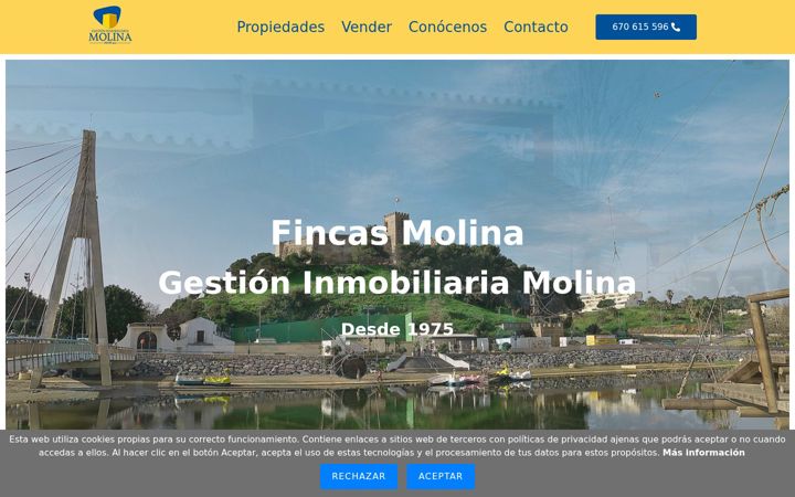 Zrzut ekranu fincasmolina.es