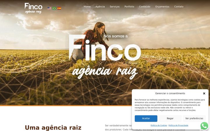 Zrzut ekranu finco.com.br