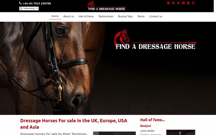 Screenshot of findadressagehorse.com