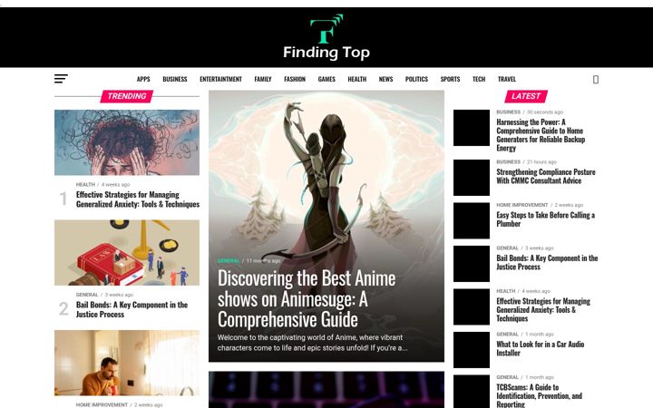Screenshot of findingtop.com