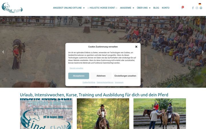 Screenshot di findtheflow.de