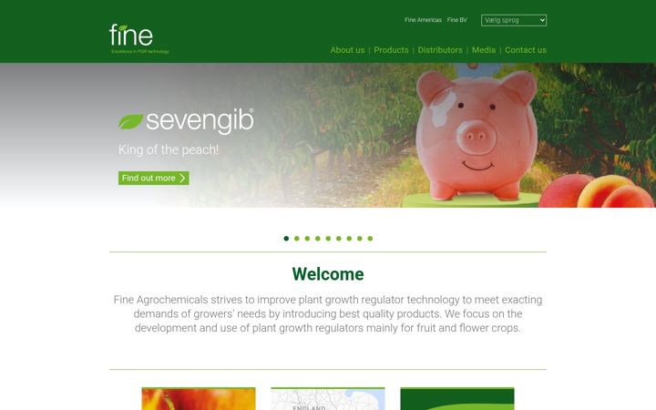 Screenshot of fine.eu
