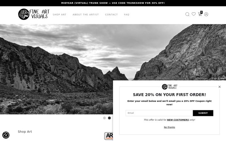 Screenshot of fineartvisuals.com