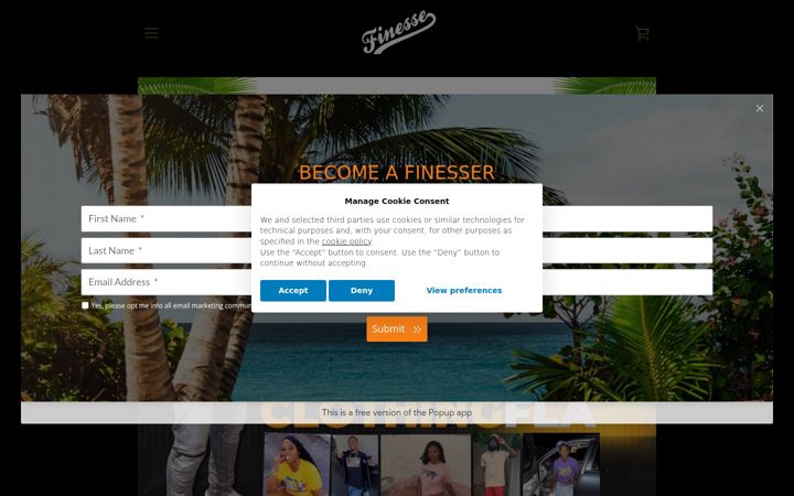 Screenshot of finesseclothingfla.com