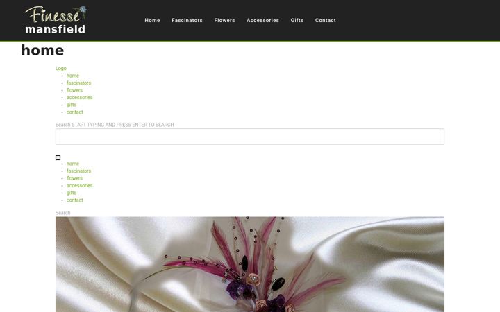 Screenshot ta' finessemansfield.co.uk