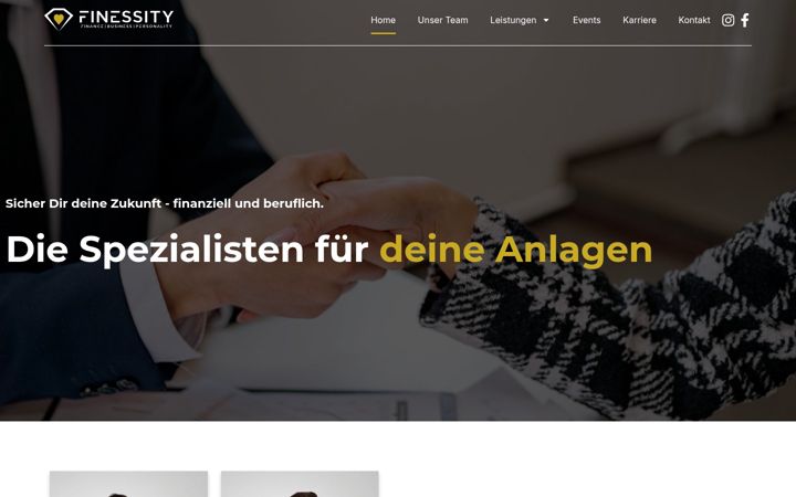 Zrzut ekranu finessity.de