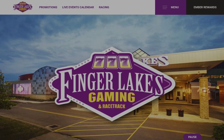 Screenshot of fingerlakesgaming.com