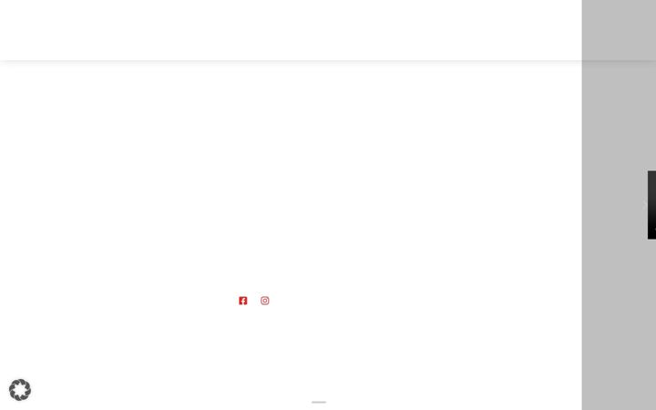 Screenshot of finnzulauf.com