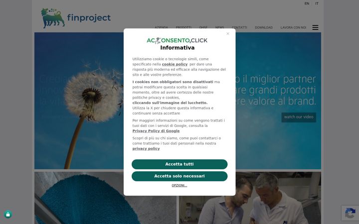Screenshot of finproject.ro