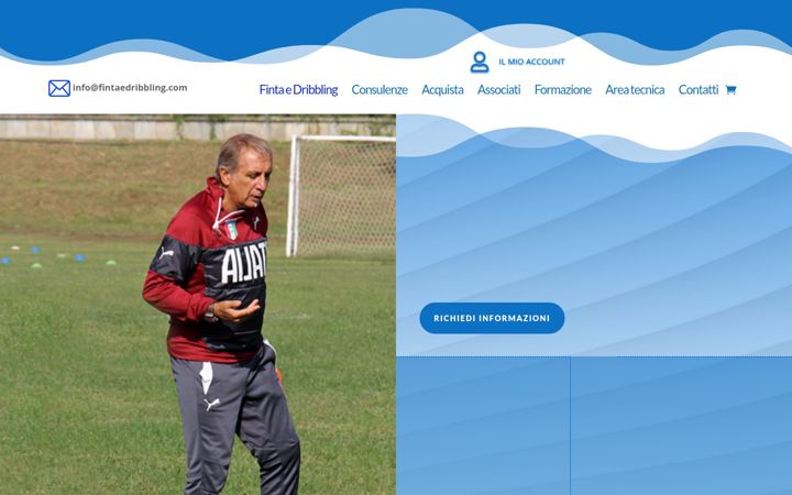Screenshot of fintaedribbling.com