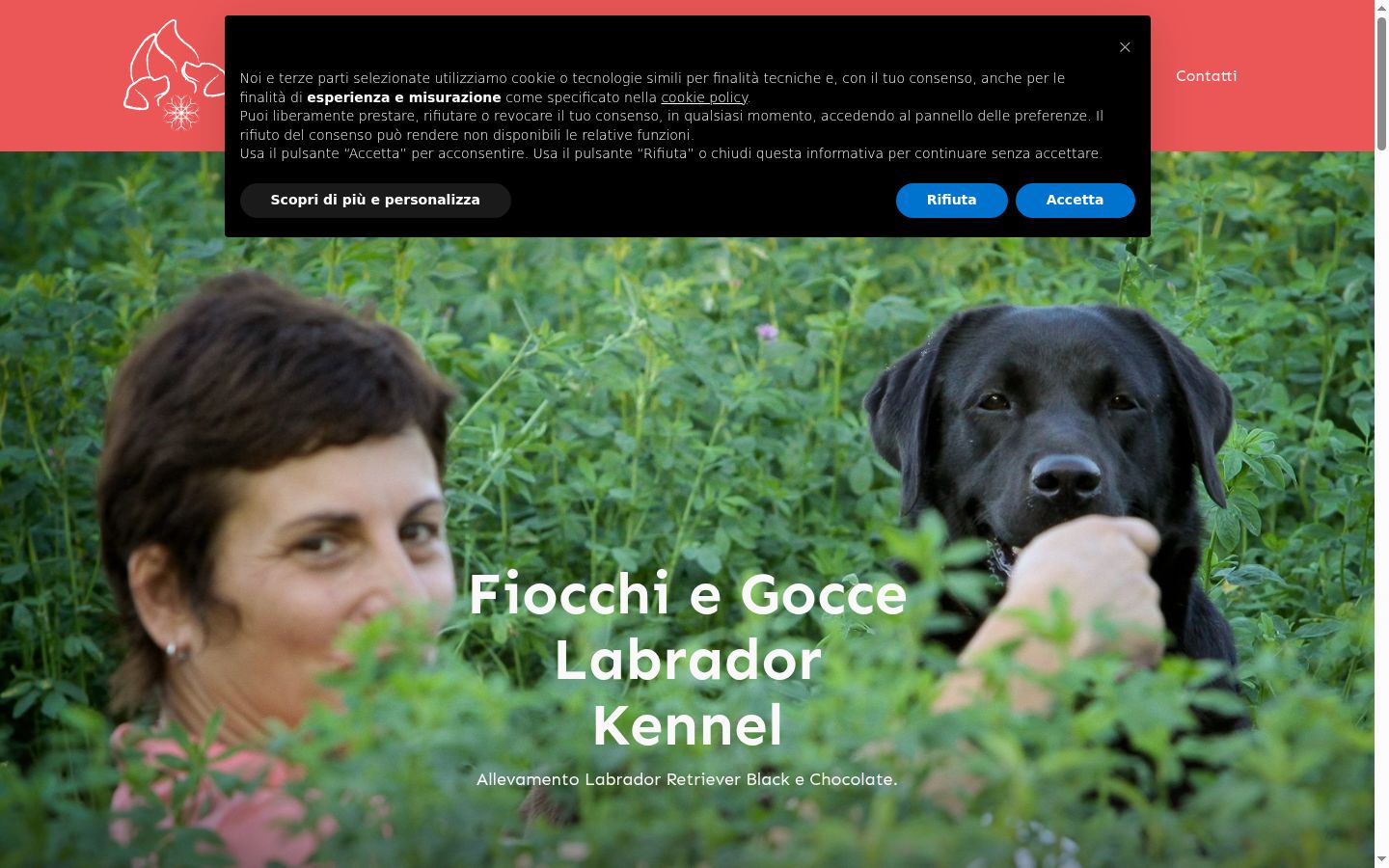 Screenshot tal-banner tal-kunsens muri qabel kwalunkwe interazzjoni