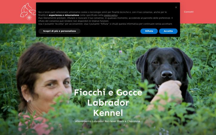 Screenshot ta' fiocchiegocce.it