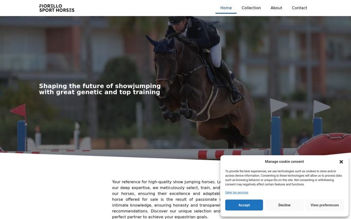 Screenshot of fiorellosporthorses.com