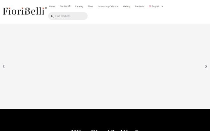 fioribelli.nl