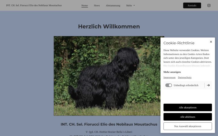 Screenshot of fioruccieliodesnobliauxmoustachus.de