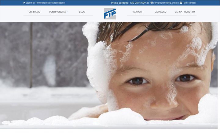 Screenshot of fip.prato.it