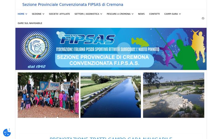 Screenshot of fipsascremona.it