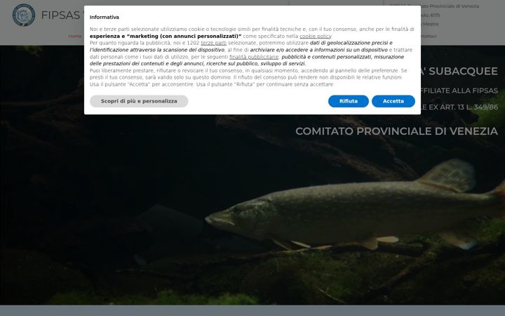 Képernyőkép: fipsasvenezia.it