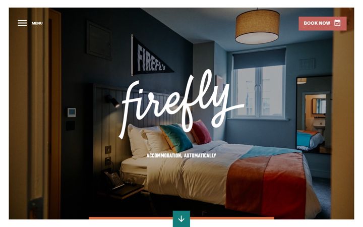 Captură de ecran a fireflybray.ie