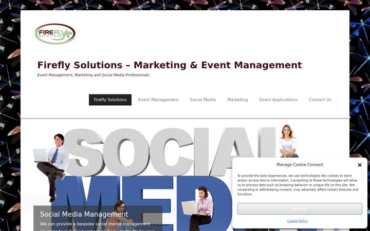 Snímek obrazovky fireflysolutions.com.au