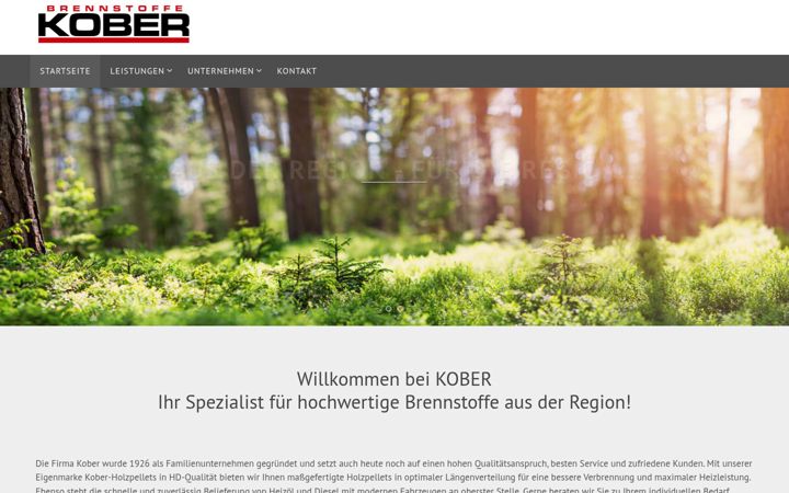 Screenshot di firma-kober.de