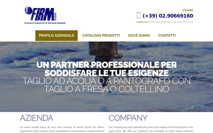 Screenshot of firmsas.com