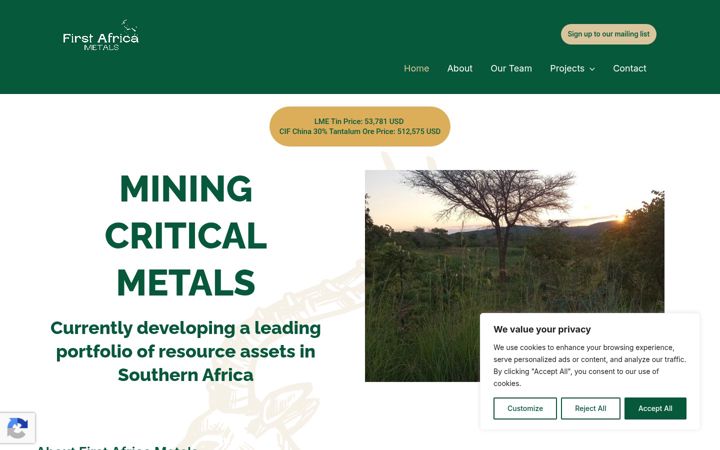 Screenshot of firstafricametals.com