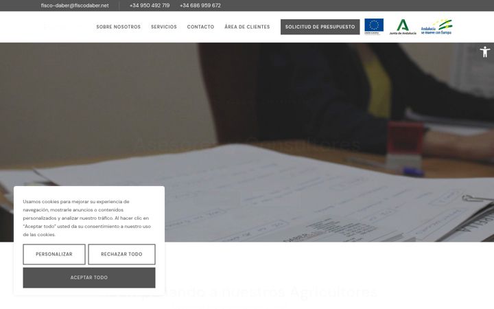 Screenshot of fiscodaber.net