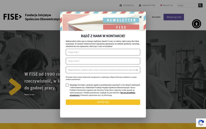 Screenshot of fise.org.pl