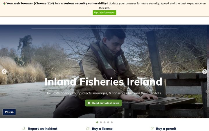 Screenshot of fisheriesireland.ie