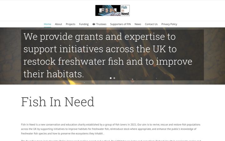 Screenshot of fishinneed.org.uk