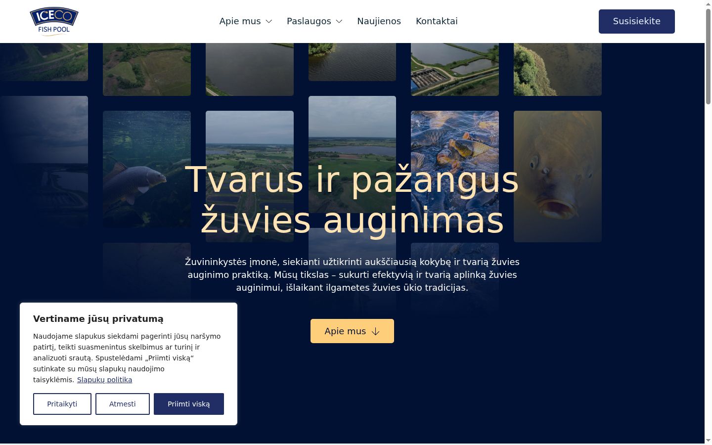 Screenshot of the consent banner shown before any interaction