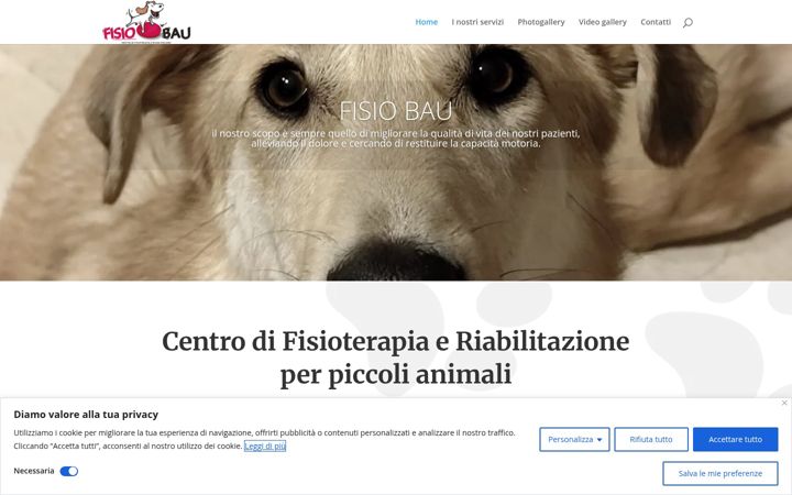 Screenshot of fisio-bau.com